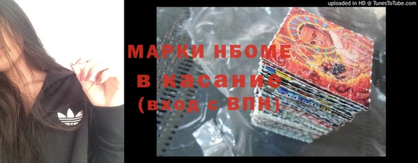 ешки Алексин