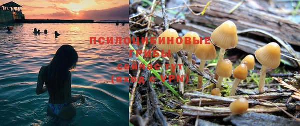 прущие крисы Алексеевка