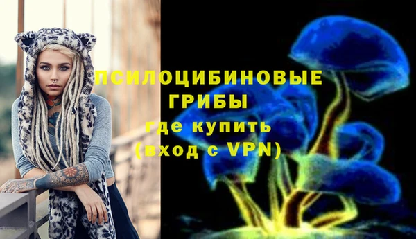 ешки Алексин